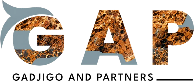 GAP — Gadjigo and Partners
